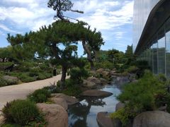 -罗红摄影艺术馆