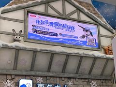 -广州热雪奇迹