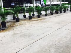 -813芭依珊 BAESAn(皇冠十畝地店)