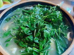 上汤枸杞叶-和记菜馆