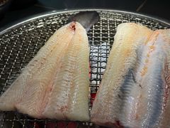 -银座苑烧肉酒场·烤活鳗(仙霞路店)