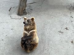 -哈尔滨北方森林动物园
