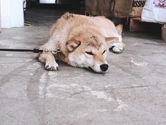 -隹木咖啡馆(宝龙广场店)