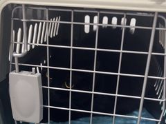 -四月宠物医院·猫专科·心脏专科·内科(转塘店)