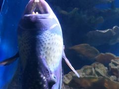 -多彩贵州城极地海洋世界