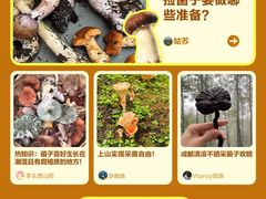 -芸山季·云南野生菌火锅(人民广场来福士店)