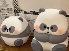-轩客会(熊猫书店)