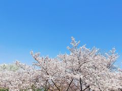 -赭山公园