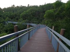-仙岳公园