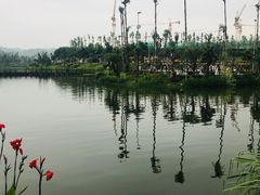 -枫香湖儿童公园