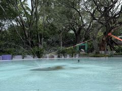 -九龙公园