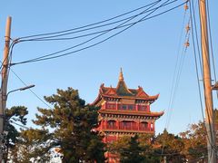 -宾朋海鲜饭庄(兴海路店)