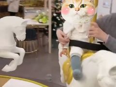 -Lilliput粒粒堡亲子餐厅(置汇旭辉店)
