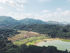 -清溪大王山森林公园