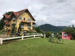 -黄色小屋