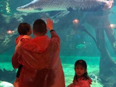 -华夏文旅海洋公园