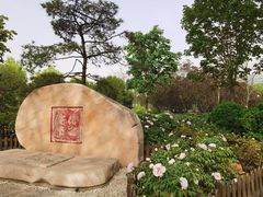 -莲花池公园