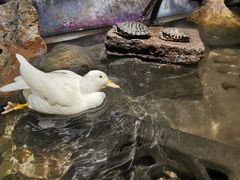 -馬蘭花開(车站大道店)