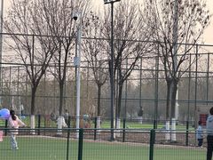 -天津东丽湖风景区