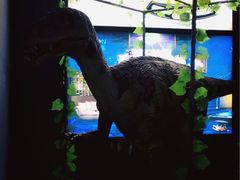 -恐龙人俱乐部