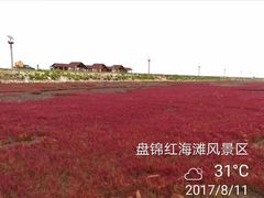 -红海滩国家风景廊道