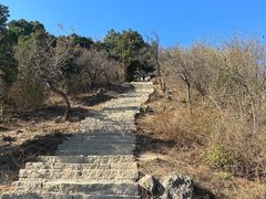 -北京西山国家森林公园