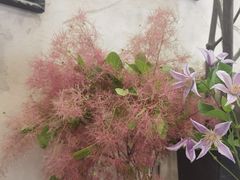 -SPARROW 家雀儿咖啡本店