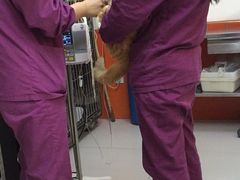 -惠康宠物医院(华能路店)