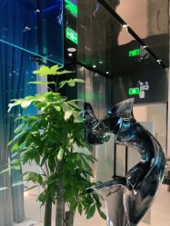 点击看大图 -蒂伊·品质医美