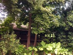 -福建鲤鱼洲酒店