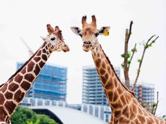 -杭州野生动物世界