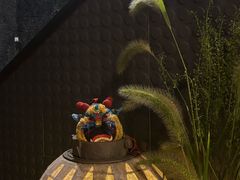 -毛辣果·酸(OHA复兴西路店)