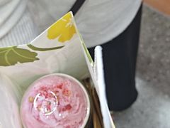 -雾与山茶(大禹城店)