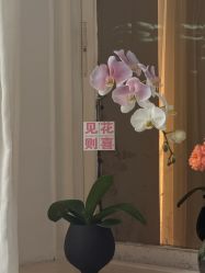 -闺蜜瑜伽·普拉提女性塑形馆