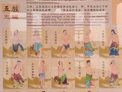 -广州神农草堂中医药博物馆