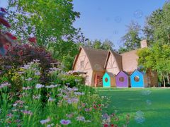 -合肥滨湖国家森林公园