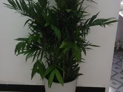 店内环境-致善宠物医院(体育路店)