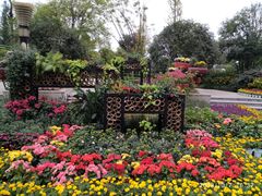 -成飞公园