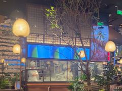 -桂满陇·海市蜃楼·黑金(国金店)