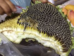 -老爷庙风味美食府(魏都大道店)