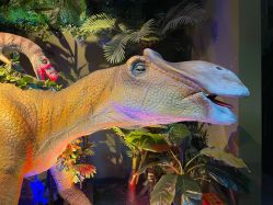 -恐龙探索乐园(磁器口店)