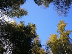 -磐安十八涡风景区