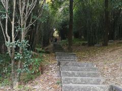 -潜山国家森林公园