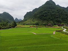 -靖西鹅泉风景区