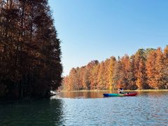 -上海海湾国家森林公园