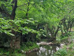 -夏霖九天银瀑风景区