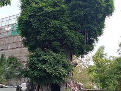 -荔湾博物馆