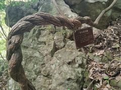 -磐安十八涡风景区