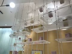 -奈雪的茶(国金中心店)