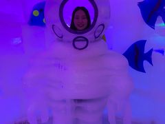 -世界之窗阿尔卑斯冰雪世界
